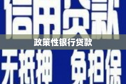 中牟政策性银行贷款
