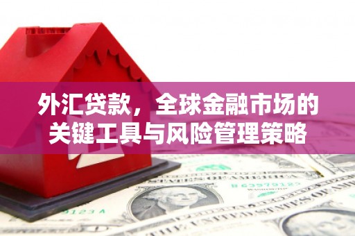 中牟外汇贷款，全球金融市场的关键工具与风险管理策略