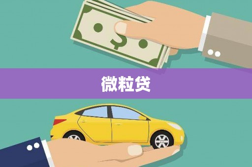 中牟微粒贷