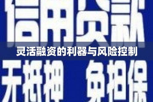 中牟灵活融资的利器与风险控制