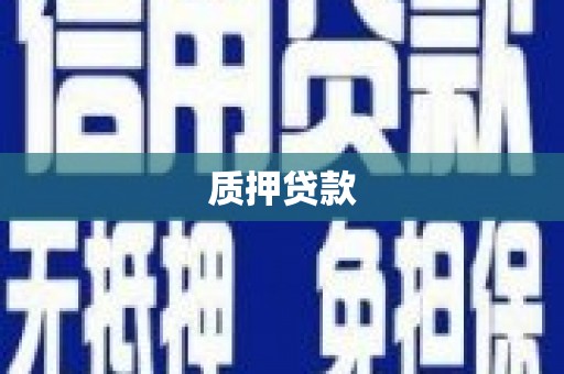 中牟质押贷款