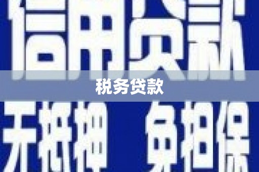 中牟税务贷款
