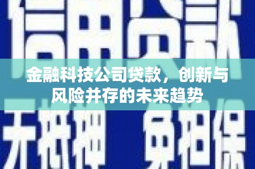 中牟金融科技公司贷款，创新与风险并存的未来趋势