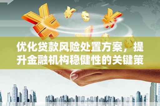 中牟优化贷款风险处置方案，提升金融机构稳健性的关键策略