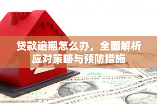 中牟贷款逾期怎么办，全面解析应对策略与预防措施