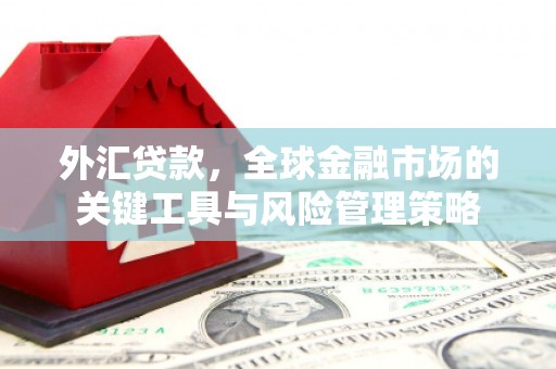中牟外汇贷款，全球金融市场的关键工具与风险管理策略