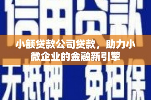 中牟小额贷款公司贷款，助力小微企业的金融新引擎