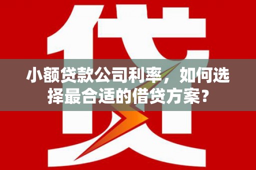 中牟小额贷款公司利率，如何选择最合适的借贷方案？