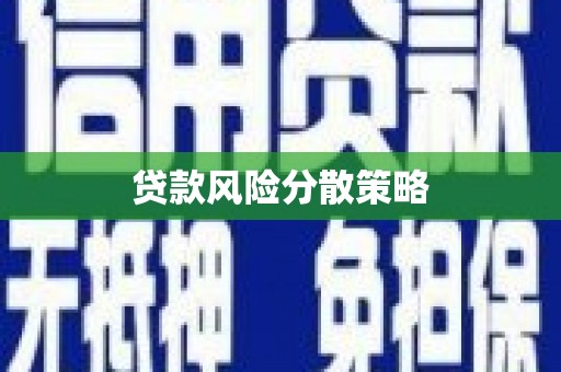 中牟贷款风险分散策略
