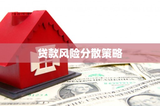 中牟贷款风险分散策略
