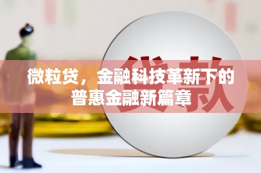中牟微粒贷，金融科技革新下的普惠金融新篇章