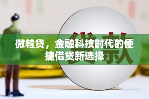 中牟微粒贷，金融科技时代的便捷借贷新选择