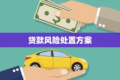 中牟贷款风险处置方案