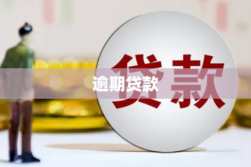 中牟逾期贷款