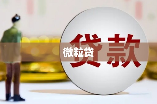 中牟微粒贷