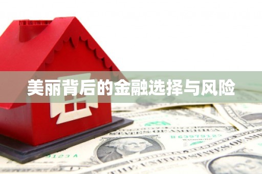 中牟美丽背后的金融选择与风险