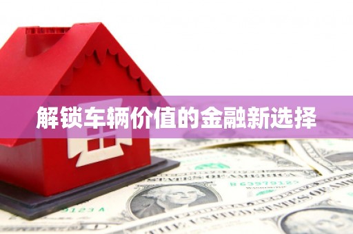 中牟解锁车辆价值的金融新选择