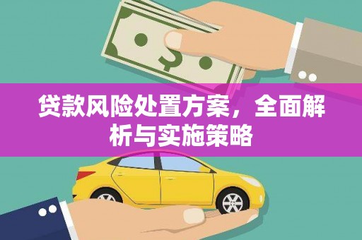 中牟贷款风险处置方案，全面解析与实施策略