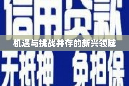 中牟机遇与挑战并存的新兴领域